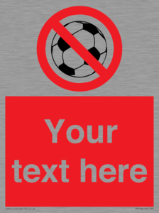 Custom No Ball Games Sign